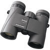 10 x 32 Endurance CF - Black